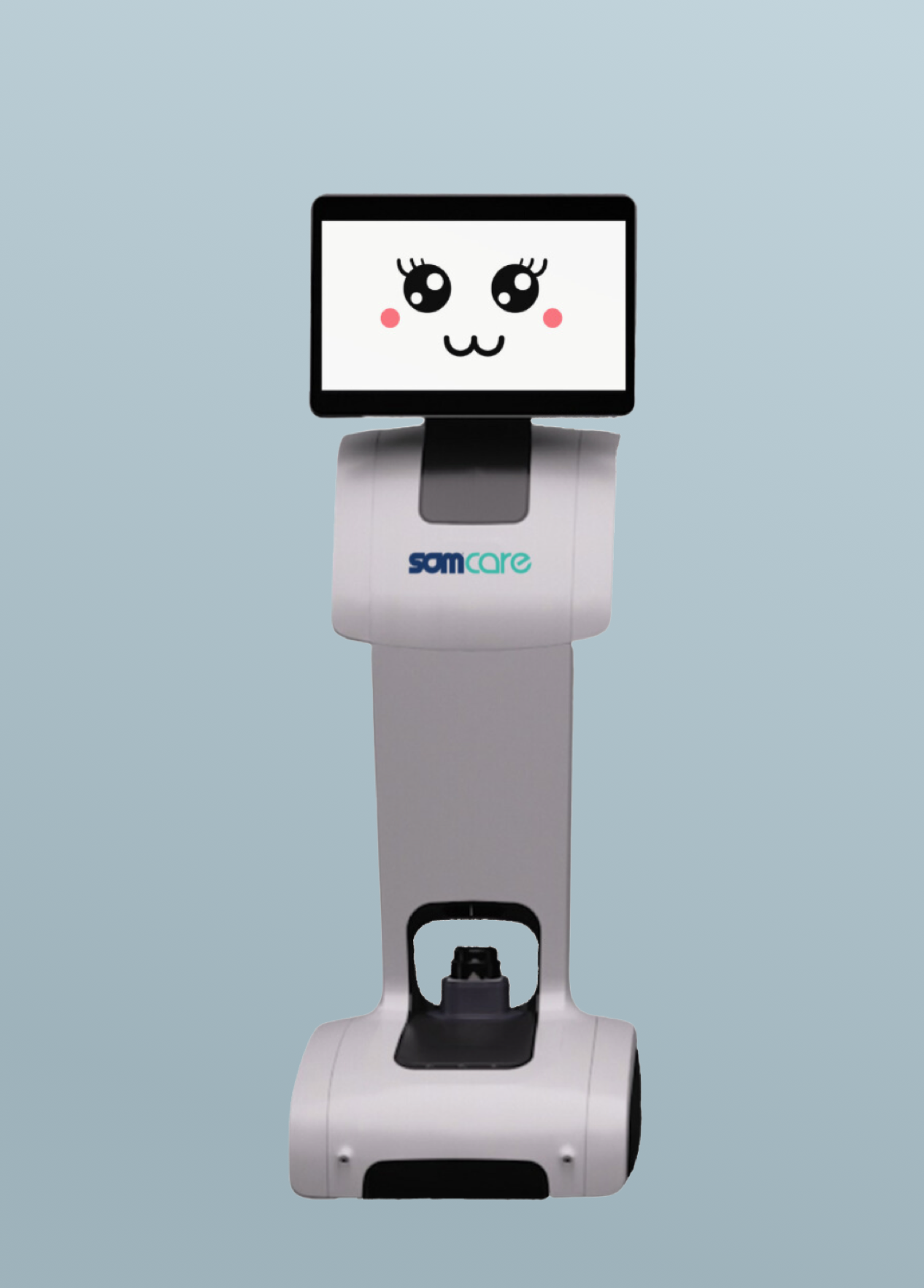 Robot TEMI